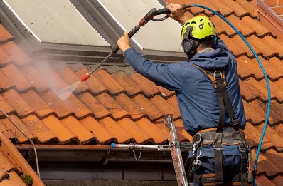 Démoussage et hydrofuge de toiture à Colonne